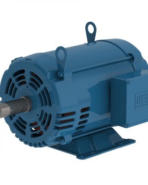00318OT3E182TF2 WEG AC Motor