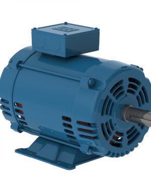 10562776 WEG AC Motor