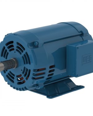00518OT3E184TF2 WEG AC Motor
