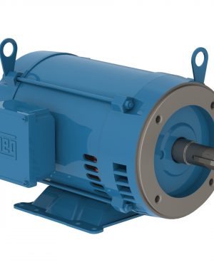 12471045 WEG AC Motor