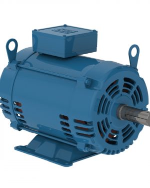 01018OT3E215TF3 WEG AC Motor
