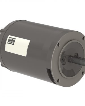 11821388 WEG AC Motor