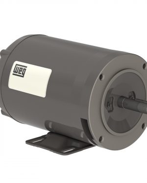 11041432 WEG AC Motor