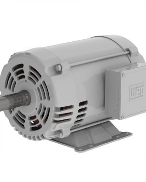 11161547 WEG AC Motor