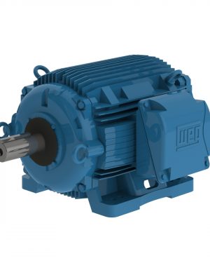 10018AT3ECT405T-W22 WEG AC Motor