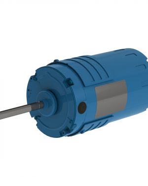 1301017436 WEG AC Motor