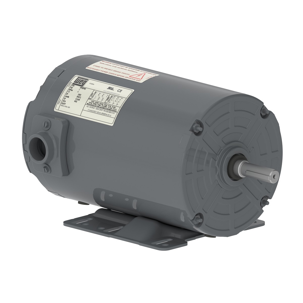 00336AP3EAF145TZ-S WEG AC Motor