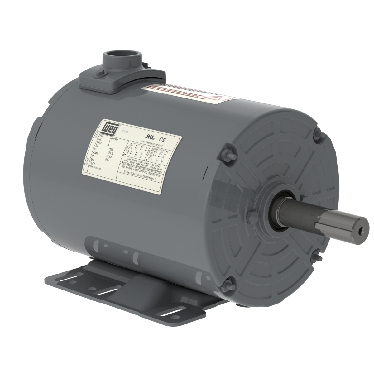 00336AP3EGD145TZ-S WEG AC Motor