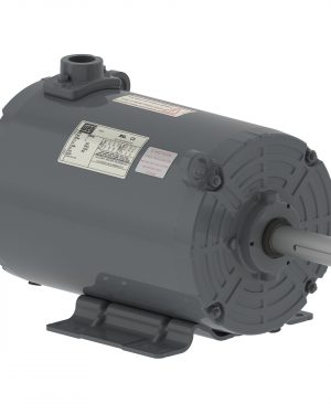 00736AP3EGD184TZ-S WEG AC Motor