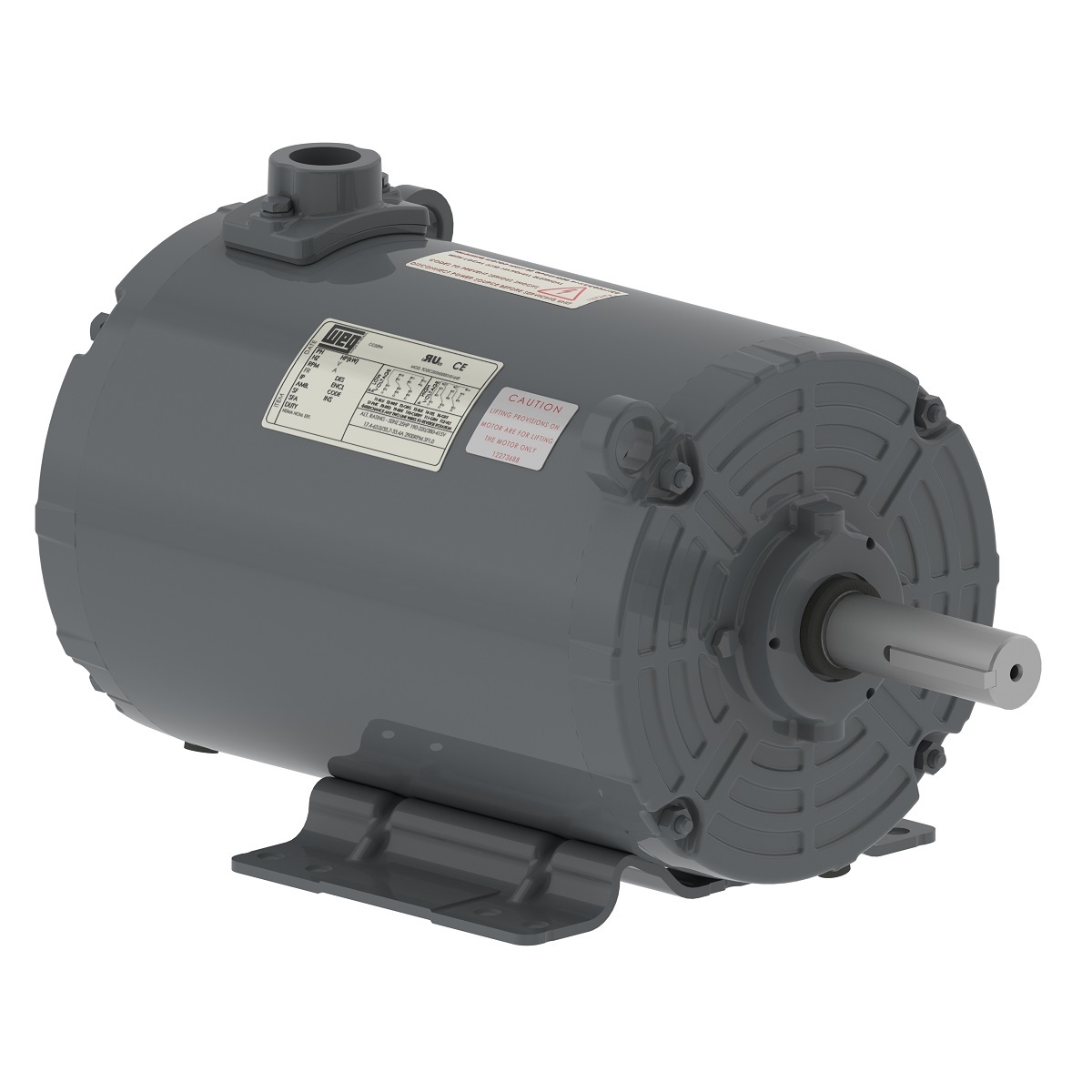 01036AP3EGD184TZ-S WEG AC Motor