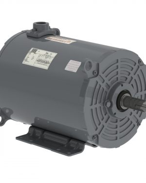 01536AP3EGD215TZ-S WEG AC Motor