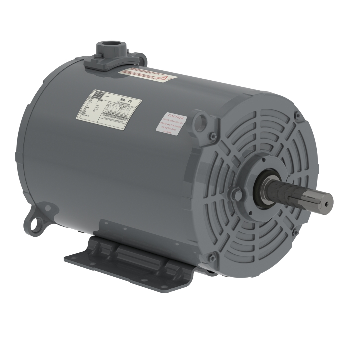 01536AP3EGD215TZ-S WEG AC Motor