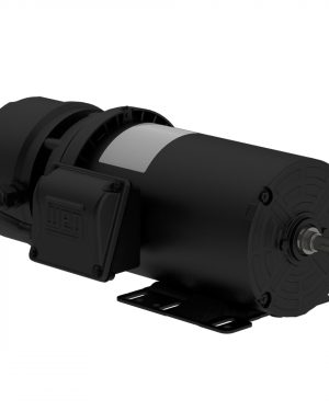 00718ET3EBM213T-S WEG AC Motor