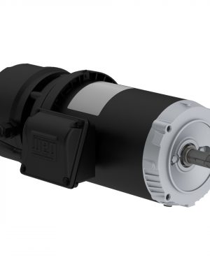 00718ET3EBMR213TC-S WEG AC Motor