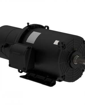 02018ET3EBM256T-S WEG AC Motor