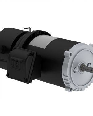 00118ET3EBM56CFL-S WEG AC Motor
