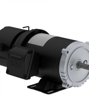 00118ET3EBM56C-S WEG AC Motor