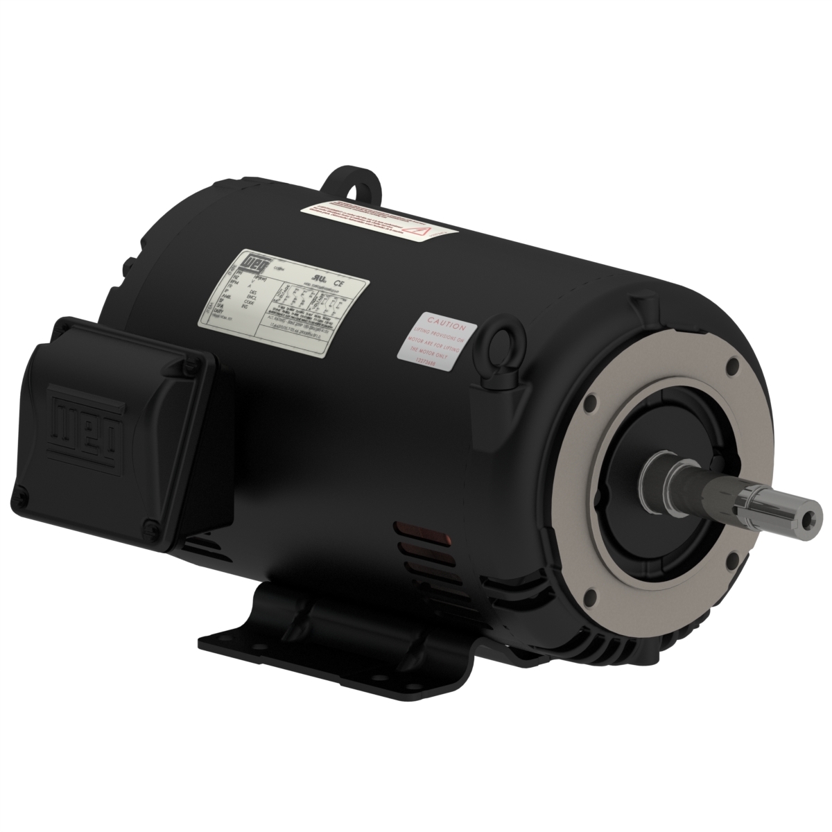 00736OT3H184JM-S WEG AC Motor
