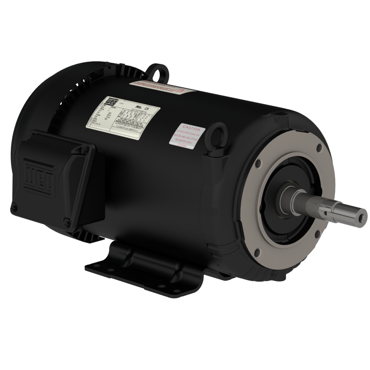 00318EP3H182JM-S WEG AC Motor