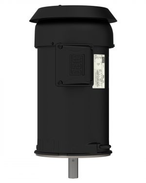 00318ET3E182JMV-S WEG AC Motor