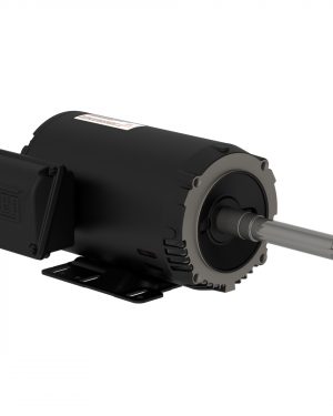 00336OT3V145JP-S WEG AC Motor