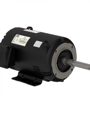 00318OT3E182JP-S WEG AC Motor