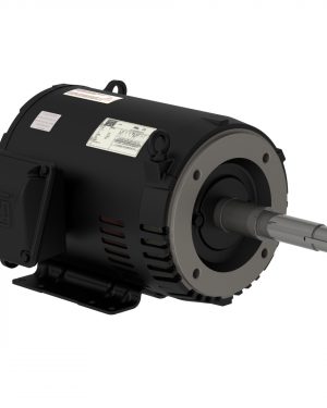 00312OT3E213JP-S WEG AC Motor