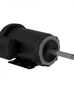 00236ET3E145JP-S WEG AC Motor