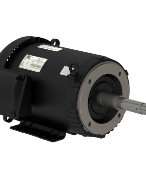 02536ET3H256JP-S WEG AC Motor