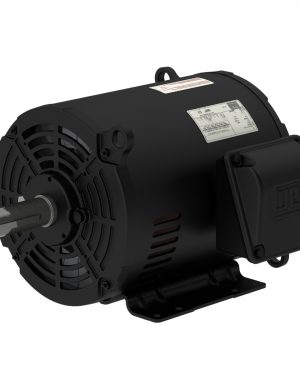 00318OT3P182TF2-S WEG AC Motor