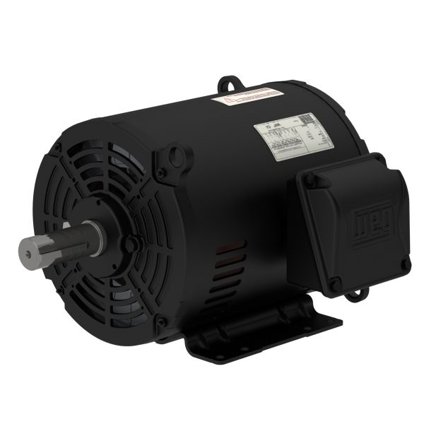 00318OT3P182TF2-S WEG AC Motor