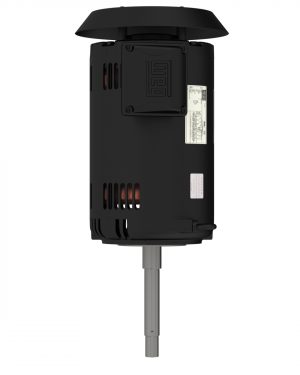 00536OT3E182JPV-S WEG AC Motor