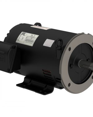 00212OT3E184TC-S WEG AC Motor