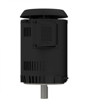 01036OT3ER213TC-S WEG AC Motor