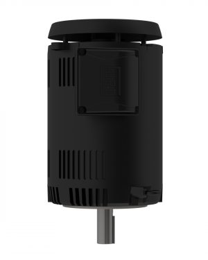 01518OT3ER254TC-S WEG AC Motor