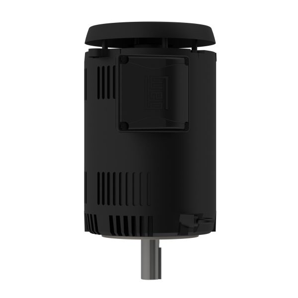 02036OT3ER254TC-S WEG AC Motor