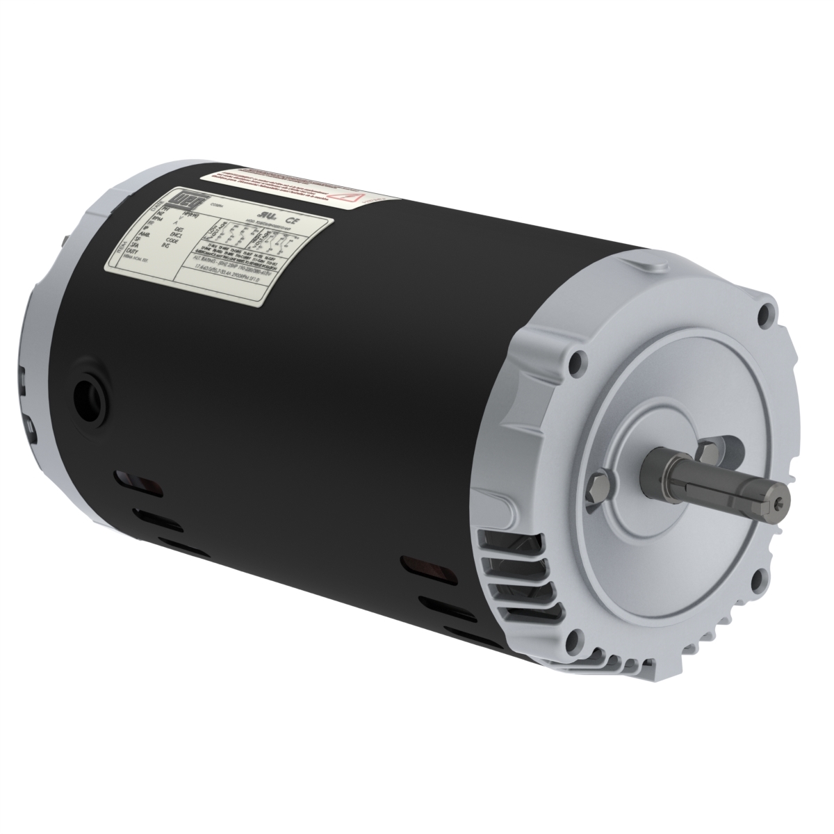 00218OT3E56CFL-S WEG AC Motor