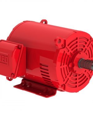 02536OP3HFP256T-S WEG AC Motor