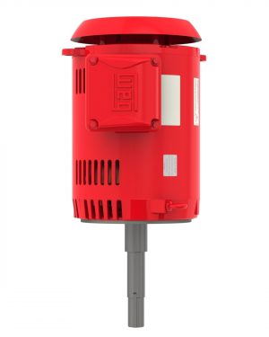 02536OP3EFP256JPV-S WEG AC Motor