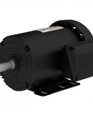 00218ET3E145TF2-S WEG AC Motor