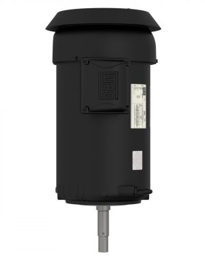 00518ET3E184JMV-S WEG AC Motor