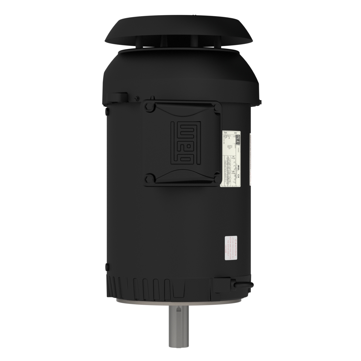 01012ET3ER256TC-S WEG AC Motor