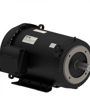 01036ET3H215TC-S WEG AC Motor