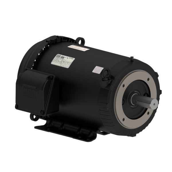 01036ET3V215TC-S WEG AC Motor