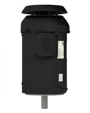 01036ET3ER215TC-S WEG AC Motor