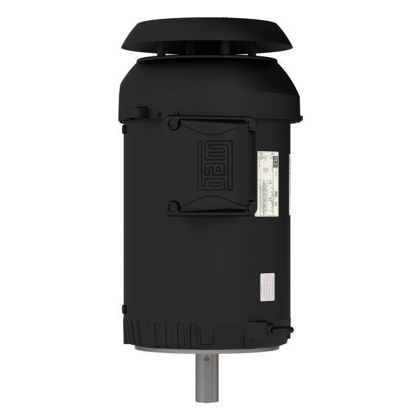 01036ET3ER215TC-S WEG AC Motor