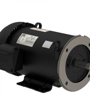 00518ET3E184TC-SG WEG AC Motor