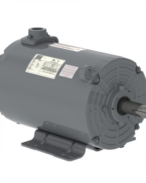 00736AP3FGD184TZ-S WEG AC Motor