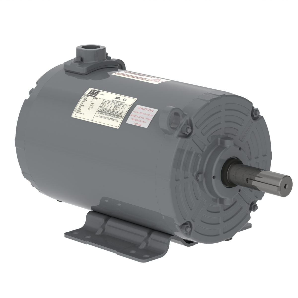 00736AP3FGD184TZ-S WEG AC Motor