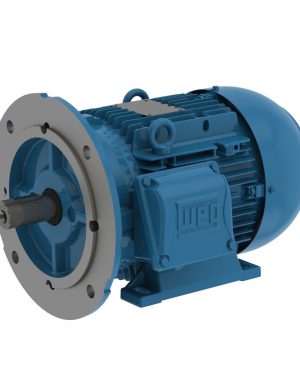 00736ET3YAL132SFF-W2 WEG AC Motor